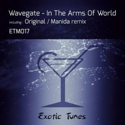 In The Arms Of World (Manida Remix)